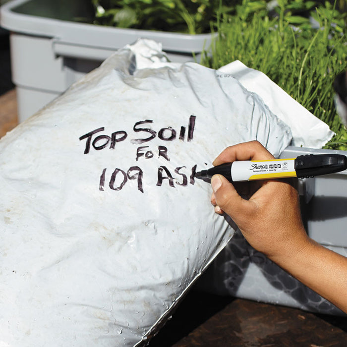 Professional Permanent Marker, Broad Chisel Tip, Black