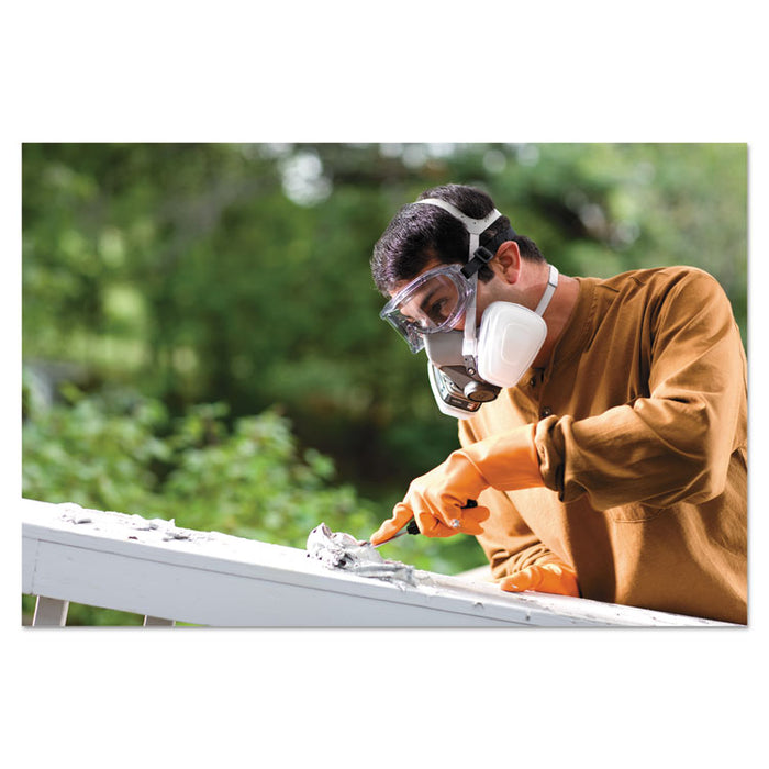 Half Facepiece Paint Spray/Pesticide Respirator, Large