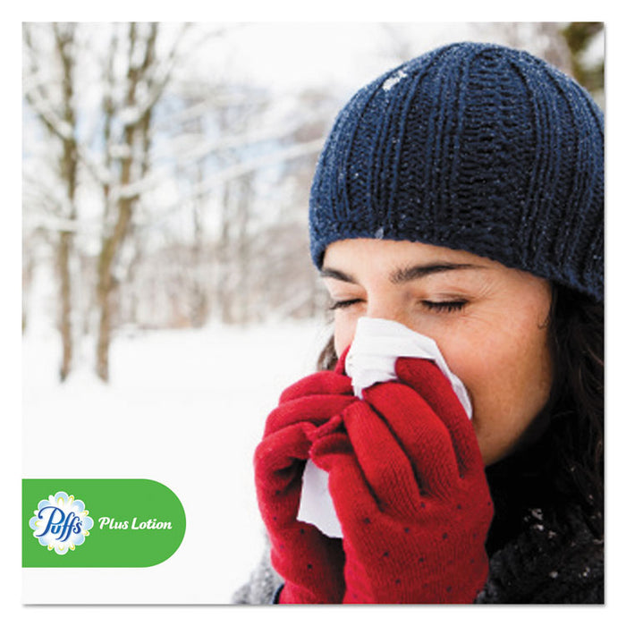 Plus Lotion Facial Tissue, 2-Ply, White, 124 Sheets/Box, 6 Boxes/Pack, 4 Packs/Carton