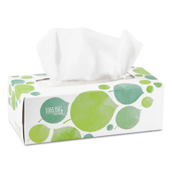 100% Recycled Facial Tissue, 2-Ply, 175 Sheets/Box, 36 Boxes/Carton