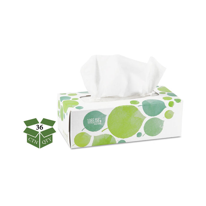 100% Recycled Facial Tissue, 2-Ply, 175 Sheets/Box, 36 Boxes/Carton