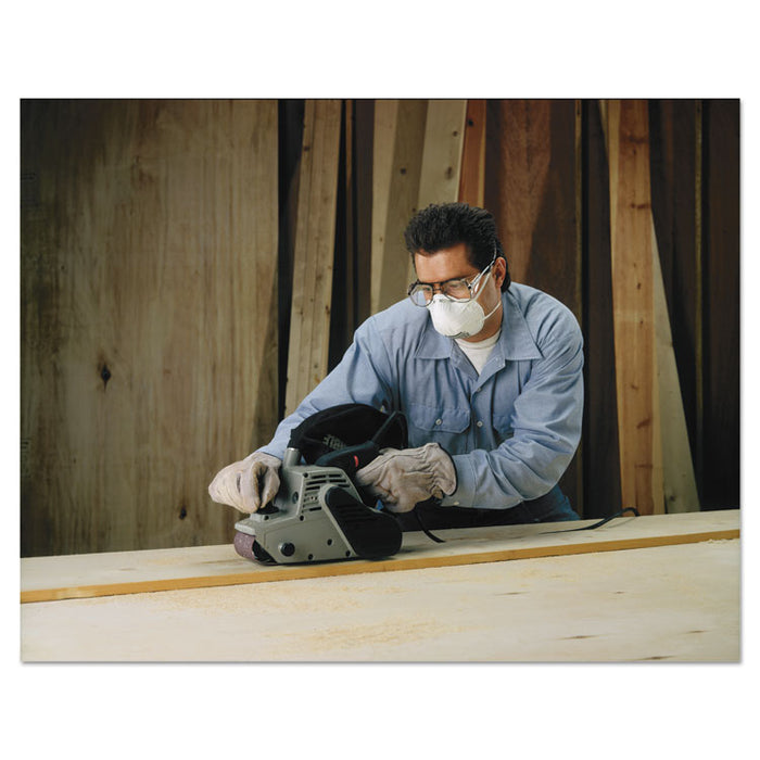 Lightweight Particulate Respirator 8210, N95, 20/Box