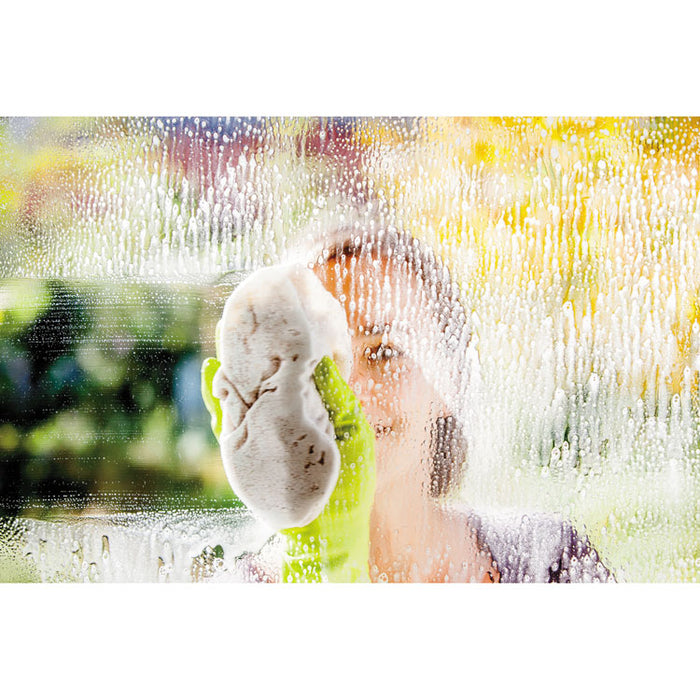 Glass & Surface Cleaner, Spray, 32 oz, 9/Carton