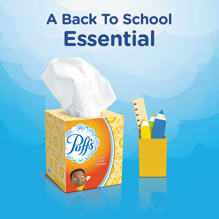 Facial Tissue, 2-Ply, White, 64 Sheets/Box, 24 Boxes/Carton