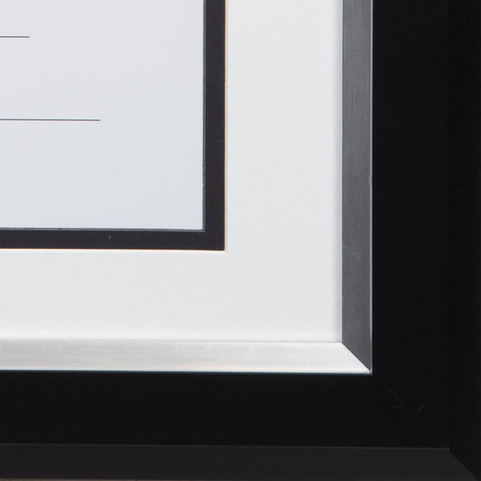 2-Tone 11 x 14 Document Frame, 8.5 x 11 Insert, Black/Silver Frame, White Mat