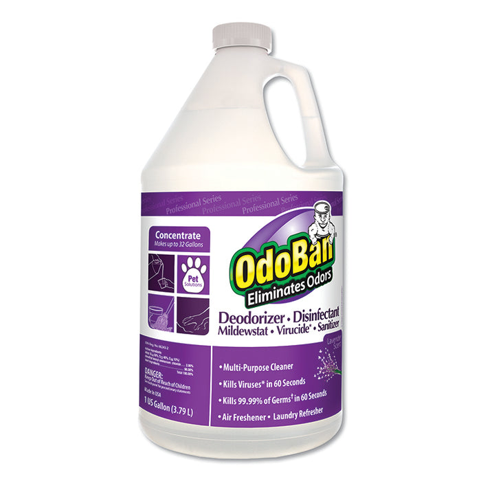 Concentrate Odor Eliminator and Disinfectant, Lavender Scent, 1 gal Bottle, 4/Carton