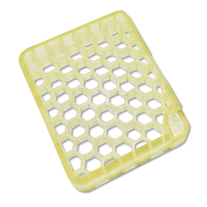 myfresh Refill, Tea Lily, 6/Box