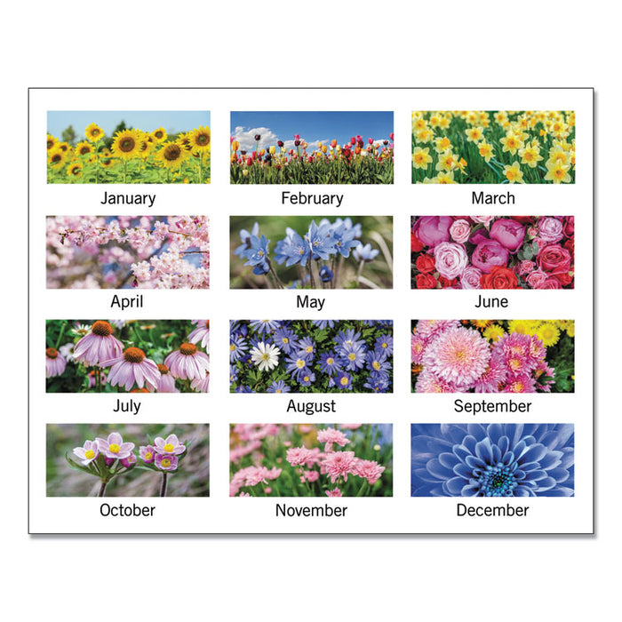 Floral Panoramic Desk Pad, Floral Photography, 22 x 17, White/Multicolor Sheets, Clear Corners, 12-Month (Jan-Dec): 2023