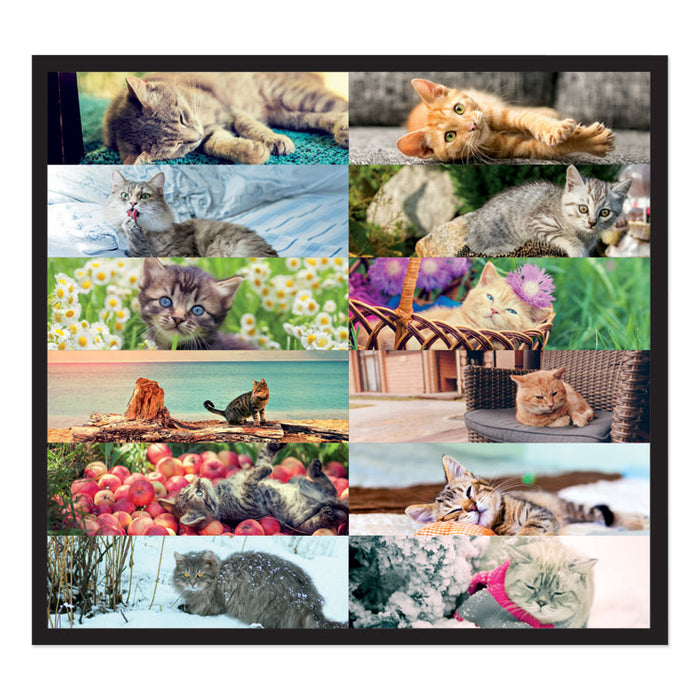 Pets Collection Monthly Desk Pad, 22 x 17, Furry Kittens, 2020