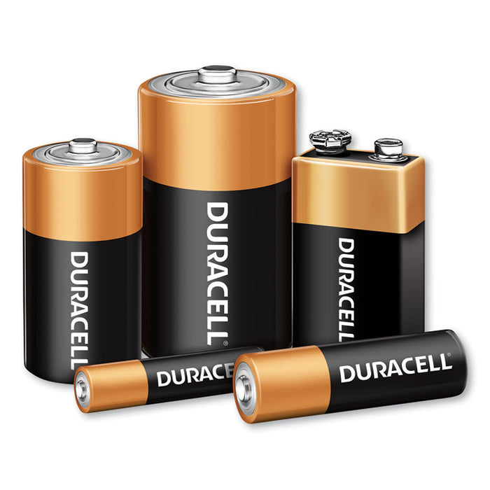 CopperTop Alkaline D Batteries, 4/Pack