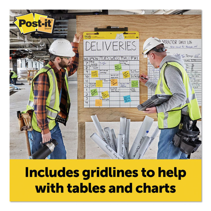 Self-Stick Easel Pads, 25 x 30, White, 30 Sheets, 2/Carton