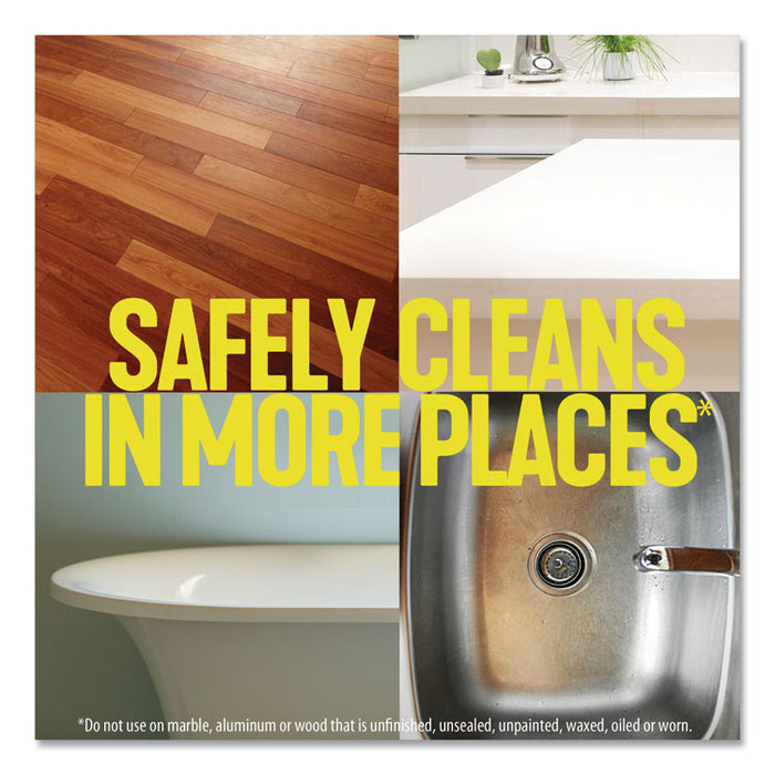 Multi-Surface Cleaner Disinfectant, Pine, 24 oz Bottle