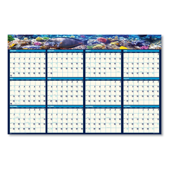 Earthscapes Recycled Reversible/Erasable Yearly Wall Calendar, Sea Life Photos, 24 x 37, White Sheets, 12-Month(Jan-Dec):2023