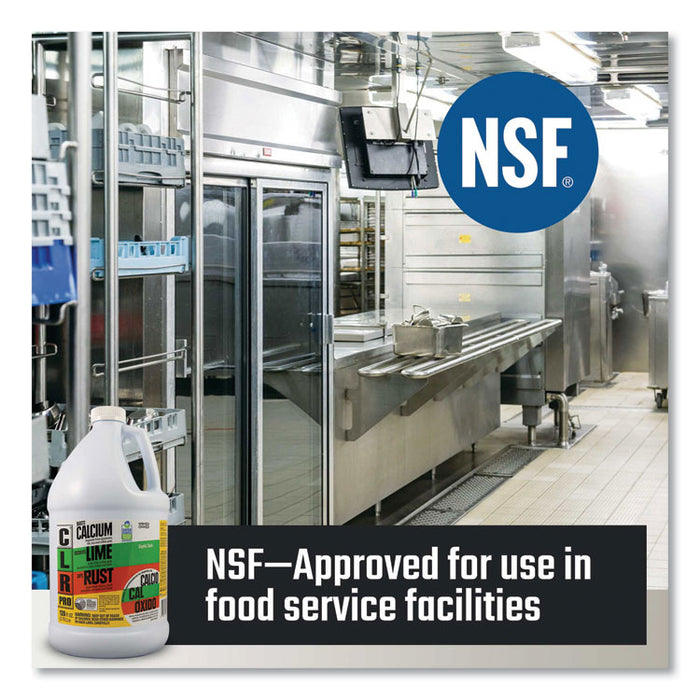 Calcium, Lime and Rust Remover, 5 gal Pail