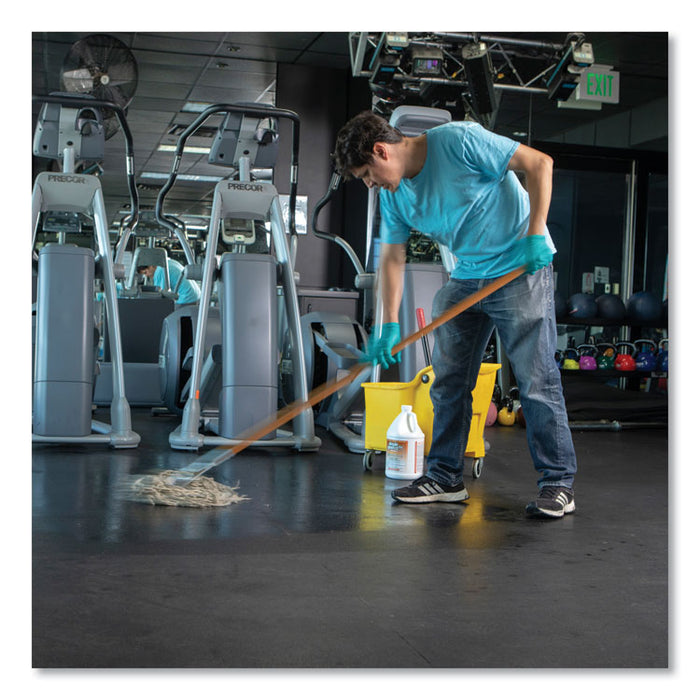 d Pro 3 Plus Antibacterial Concentrate, Herbal, 1 gal Bottle, 6/Carton