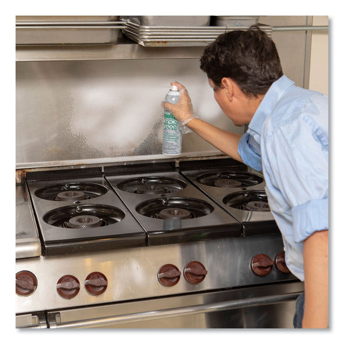 Foaming Crystal Industrial Cleaner and Degreaser, 20 oz Aerosol, 12/Carton