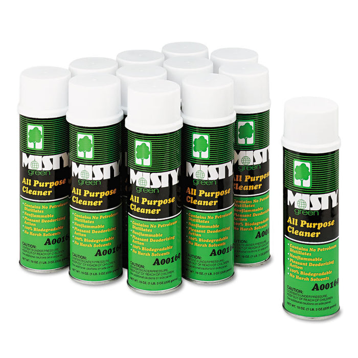 Green All-Purpose Cleaner, Citrus Scent, 19 oz Aerosol Spray, 12/Carton